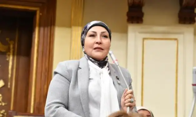 النائبة هالة أبو السعد: حكم الدستورية العليا بشأن قانون الإيجار القديم يهدف إلى إعادة التوازن بين المالك والمستأجر