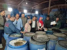 إعدام 3 أطنان ملح ومخللات غير صالحة للاستهلاك في حملة صحية بالإسماعيلية