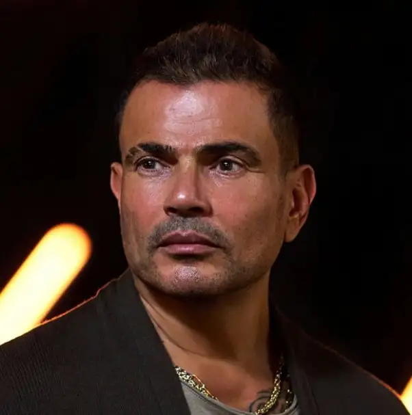 حكم قضائي ضد عمرو دياب في واقعة صفع شاب خلال حفل زفاف