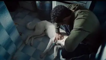 طرح برومو أغنية فيلم البحث عن منفذ لخروج السيد رامبو