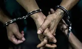 ضبط المتهمين بالاعتداء على شخص بالضرب والاستيلاء على محتويات مسكنه في الدقهلية