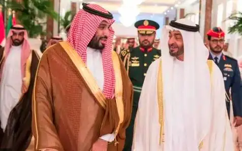 ولي العهد السعودي ورئيس الإمارات يبحثان المساعي المبذولة لتحقيق الاستقرار في المنطقة