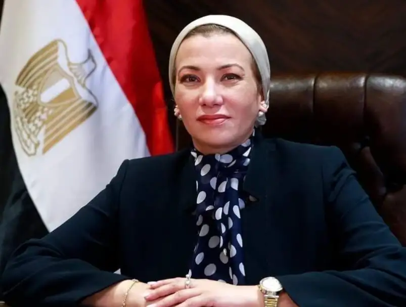 وزير الري: نتعاون مع اليابان لوضع المياه على رأس أجندة العمل المناخي العالمي