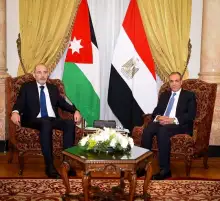 قبل قمة القاهرة.. وزير الخارجية ونظيره الأردني يشددان على رفضهما القاطع لتهجير الفلسطينيين