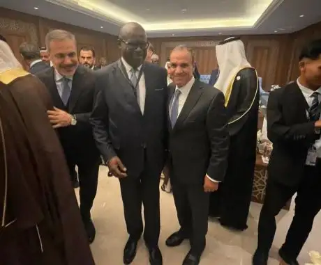 لقاءات جانبية لوزير الخارجية على هامش أعمال الدورة الاستثنائية لمجلس وزراء خارجية دول منظمة التعاون الإسلامى