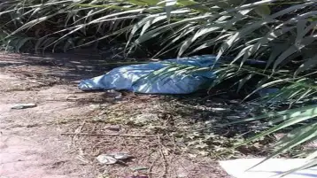 جمجمة متهشمة وطلق ناري.. العثور على جثة خفير داخل مزرعة بمنشأة القناطر