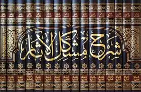 المكتبة الإسلامية (14).. شرح مشكل الآثار للطحاوي: دفاع عن السنة النبوية