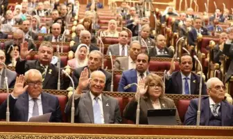 مجلس الشيوخ يناقش أدوات التمكين الاقتصادي التي تقدمها الوزارة للأسر الأولى بالرعاية