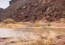 أمطار وسيول بمنطقة وادي عراضة في مدينة دهب