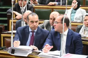 المستشار محمود فوزي: مجلس النواب يراقب الإنفاق العام على أكمل وجه