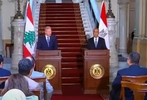 وزير الخارجية: اتصالاتنا مستمرة لوقف انتهاك إسرائيل لسيادة الدول العربية