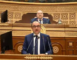 وزير قطاع الأعمال: شركاتنا عجوزة.. ومش جايين نجمل فلدينا مشكلات ويتم العمل على معالجتها