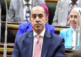 المستشار محمود فوزي: تطبيق قانون قاعدة بيانات العقارات لا تمس ضوابط نقل الملكية