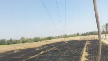 السيطرة على حريق نشب في مزرعة قمح بسمالوط