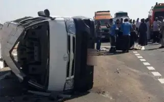كلب ضال يعقر عضوا في فريق الطب البيطري بشمال سيناء
