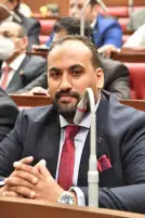 النائب محمد الرشيدي: عمال مصر هم سواعدها وقوتها الوطني ودرعها الاقتصادي والتنموي في الجمهورية الجديدة