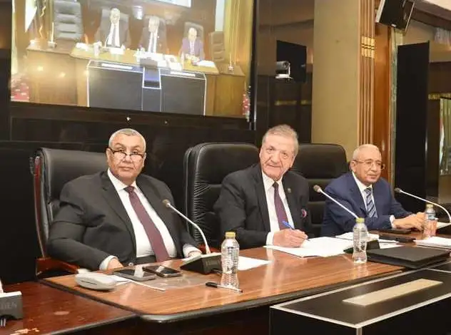 خلال مناقشات موازنة الوزارة.. وكيل خطة النواب: لا انقطاع للكهرباء في الصيف الحالي