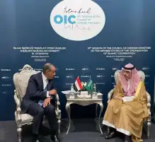 مباحثات مصرية سعودية حول تداعيات التصعيد بين إسرائيل وإيران