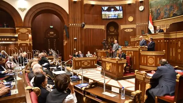 مجلس الشيوخ يناقش فجوة إعداد المعلمين.. ودراسة تطالب بتحويل كليات التربية إلى دراسات عليا فقط