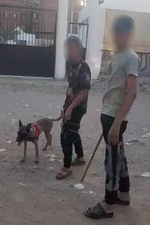ضبط شخصين متهمين بالبلطجة باستخدام كلب وعصا خشبية في القليوبية