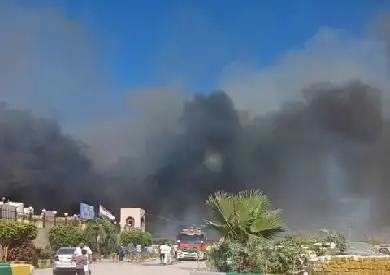النيابة تُخلي سبيل متهمين في واقعة احتراق 96 مركبة داخل حضانات البتروكيماويات بالإسكندرية