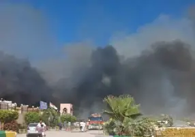 النيابة تُخلي سبيل متهمين في واقعة احتراق 96 مركبة داخل حضانات البتروكيماويات بالإسكندرية