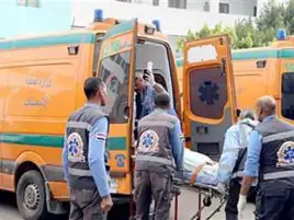 مصرع طبيبة وإصابة 3 أشخاص إثر حادث على الطريق الدولي بالشرقية