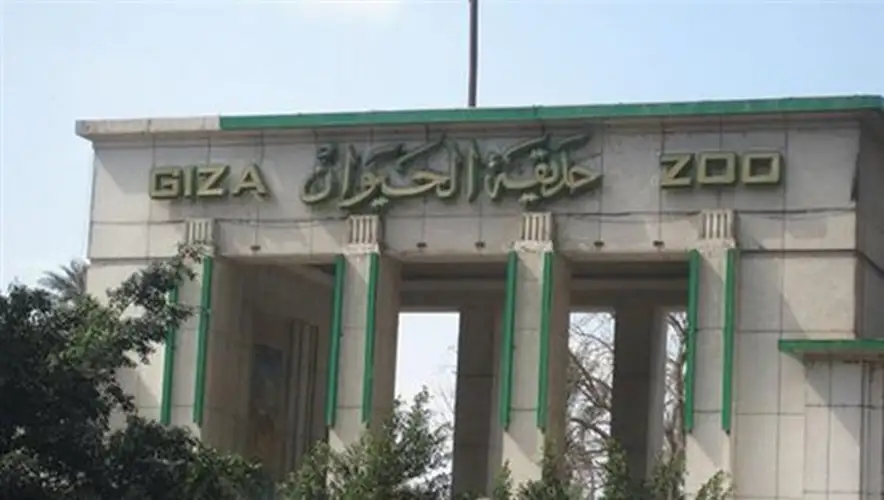 المدير التنفيذي للرابطة الإفريقية لحدائق الحيوان: نعتزم تقديم تجربة بيئية فريدة لزوار حديقة الجيزة