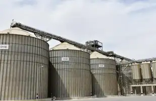 وزير الزراعة: إدخال الميكنة الحديثة ساهم في مضاعفة إنتاج القمح