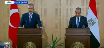 وزير الخارجية: قرار احتلال غزة تطور شديد الخطورة وأمر لا يمكن السكوت عليه
