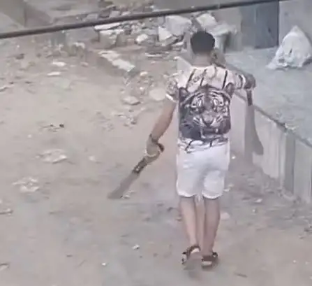 كشف ملابسات تداول فيديو تضمن تلويح شخص بسلاح أبيض بكفر الشيخ