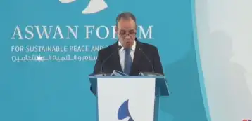 وزير الخارجية: إفريقيا قارة حيوية بمواردها وقادرة على الصمود أمام الأزمات