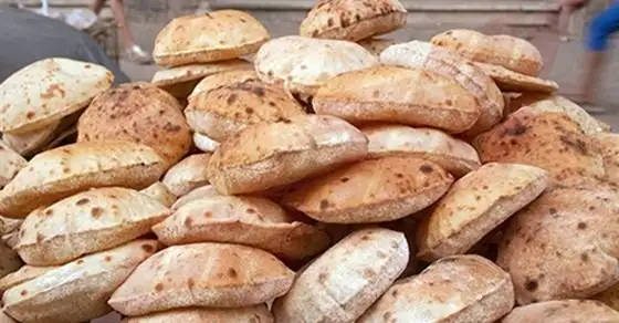 غرفة صناعة الحبوب: عدم المساس بسعر الخبز المدعم واستمرار طرحه للمواطنين بـ20 قرشا