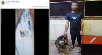ضبط متهم بممارسة أعمال البلطجة باستخدام كلب وسلاح أبيض في الجيزة