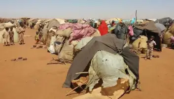 الجامعة العربية تدين الجرائم المروعة المرتكبة في حق المدنيين بمدينة الفاشر
