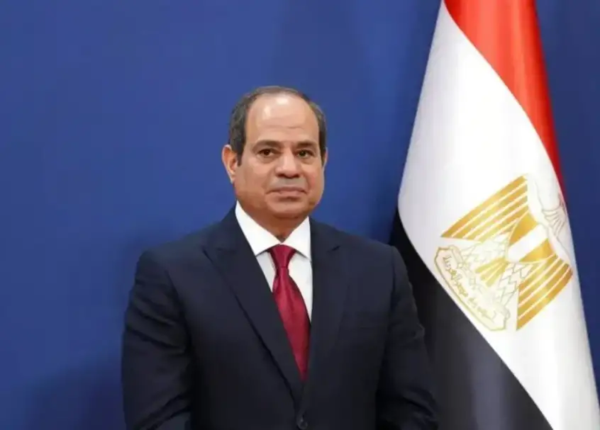 انتخابات مجلس النواب.. السيسي يطالب الهيئة الوطنية بالتأكد من حصول مندوب كل مرشح على صورة من كشف حصر الأصوات