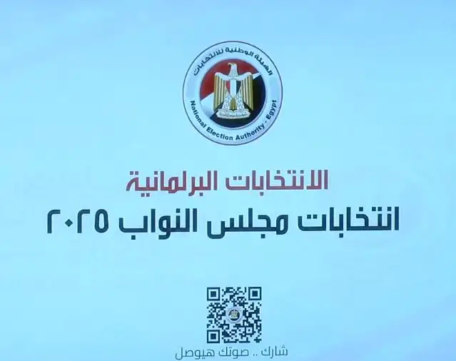 بعد مطالبات السيسي.. هل تُؤجل الوطنية للانتخابات إعلان نتيجة المرحلة الأولى لانتخابات النواب؟