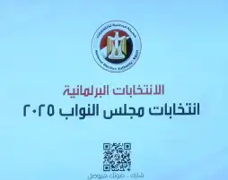 بعد مطالبات السيسي.. هل تُؤجل الوطنية للانتخابات إعلان نتيجة المرحلة الأولى لانتخابات النواب؟