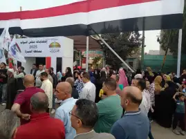 الإدارية العليا تتلقى 140 طعنًا على نتيجة المرحلة الأولى لانتخابات مجلس النواب