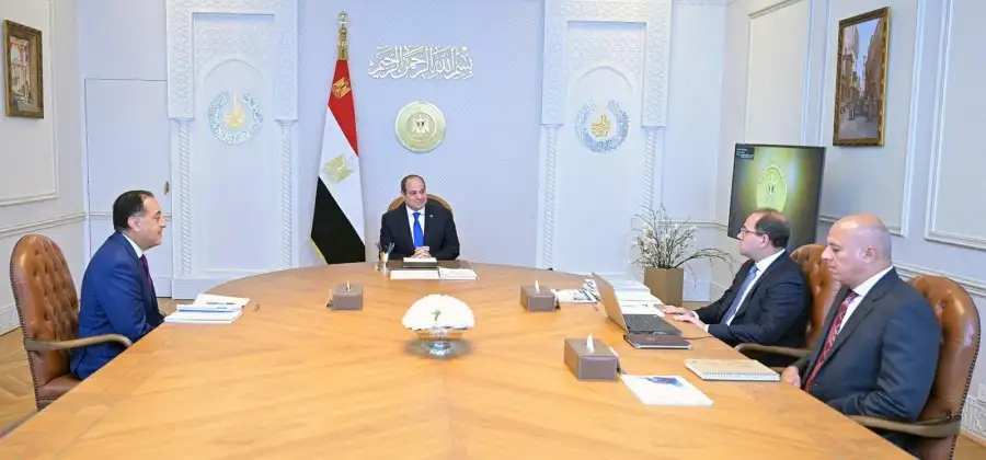 السيسي: اتخاذ كل ما يلزم من إجراءات لتطبيق نظام الرقمنة في عمل وزارة المالية