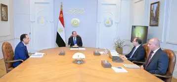 السيسي: اتخاذ كل ما يلزم من إجراءات لتطبيق نظام الرقمنة في عمل وزارة المالية