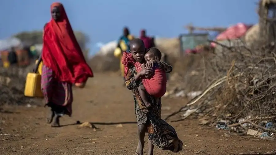 مناطق تموت جوعا.. مكتب أطباء السودان يحذر من تمدد المجاعة وسط انهيار الخدمات