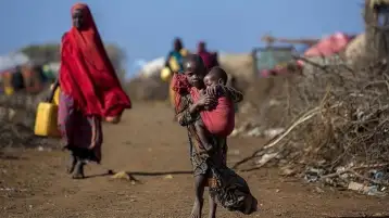 مناطق تموت جوعا.. مكتب أطباء السودان يحذر من تمدد المجاعة وسط انهيار الخدمات