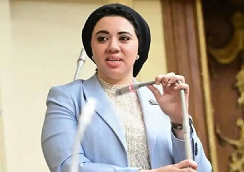 عضو بمجلس الشيوخ تنتقد تعديل قانون الكهرباء: تغليظ العقوبات لا يحقق الردع