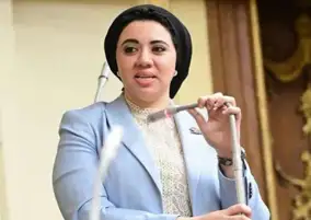 عضو بمجلس الشيوخ تنتقد تعديل قانون الكهرباء: تغليظ العقوبات لا يحقق الردع