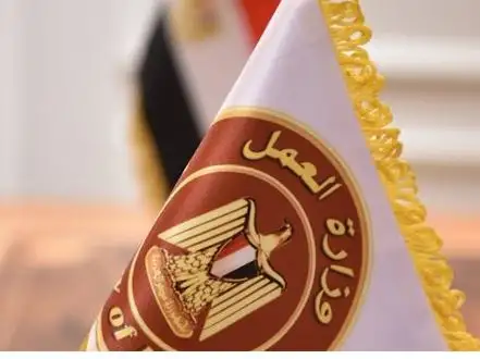 وزارة العمل: قانون العمل الجديد يضمن حقوق العمال حتى بعد الإغلاق أو التصفية