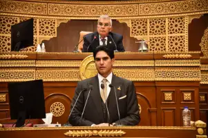 مجلس الشيوخ يوافق على ضوابط تقديم إقرار الضريبة العقارية