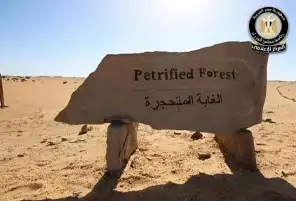 إعلام الوزراء يوضح حقيقة ما أُثير بشأن التعدي على الأشجار داخل محمية الغابة المتحجرة بالتجمع