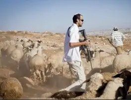 سرقة 200 رأس غنم ومركبة في هجوم لمستوطنين على بلدة غرب رام الله