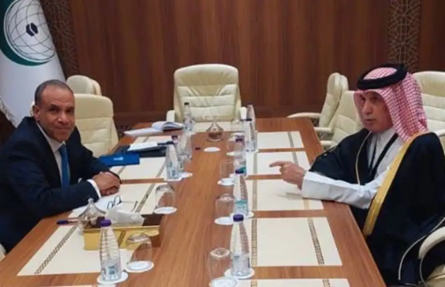 وزير الخارجية ووزير الشئون الخارجية القطري يتبادلان الرؤى إزاء تطورات القضايا الإقليمية ذات الاهتمام المشترك